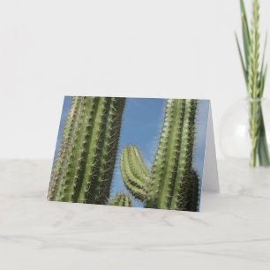 Barrel Cactus I Desert Photo Card