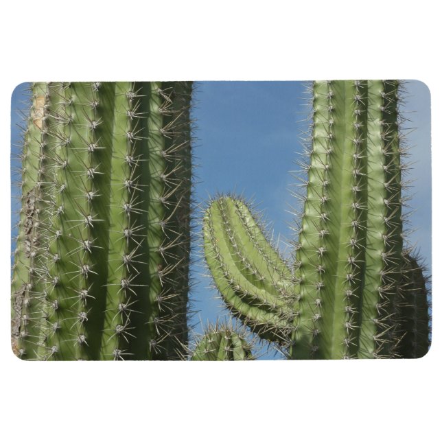 Barrel Cactus I Desert Photo Floor Mat (Front)