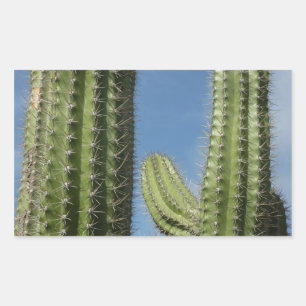 Barrel Cactus I Desert Photo Rectangular Sticker