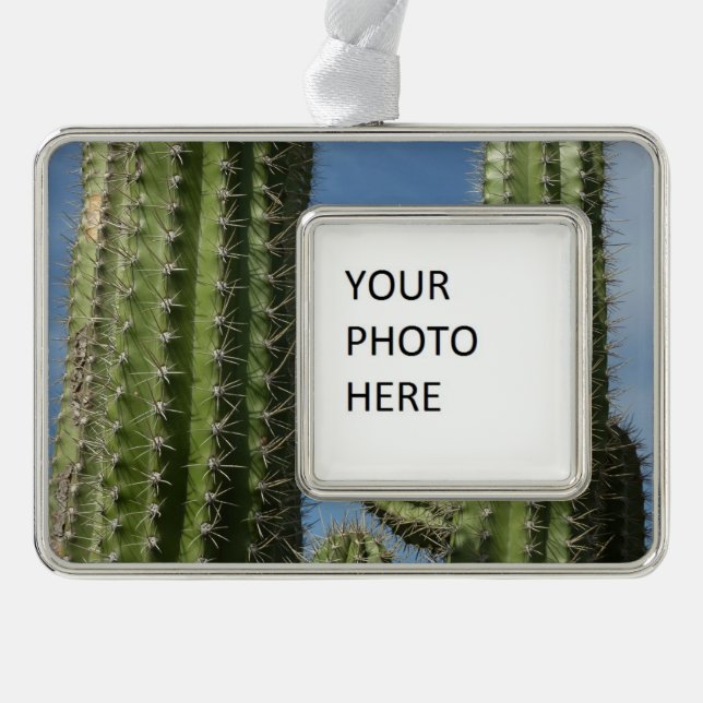Barrel Cactus I Desert Photo Silver Plated Framed Ornament (Front)