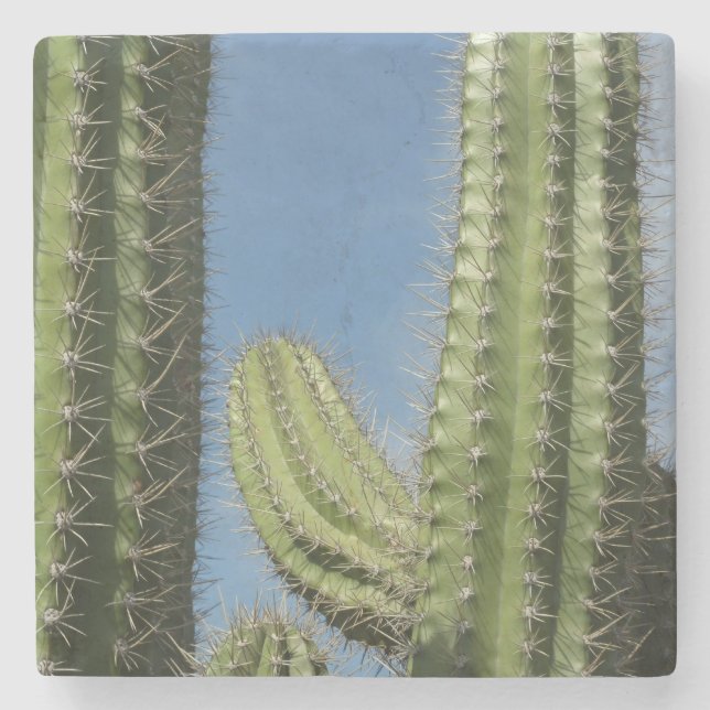 Barrel Cactus I Desert Photo Stone Coaster (Front)