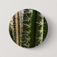 Barrel Cactus II Desert Nature Photo
