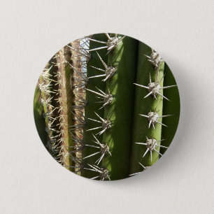 Barrel Cactus II Desert Nature Photo 6 Cm Round Badge