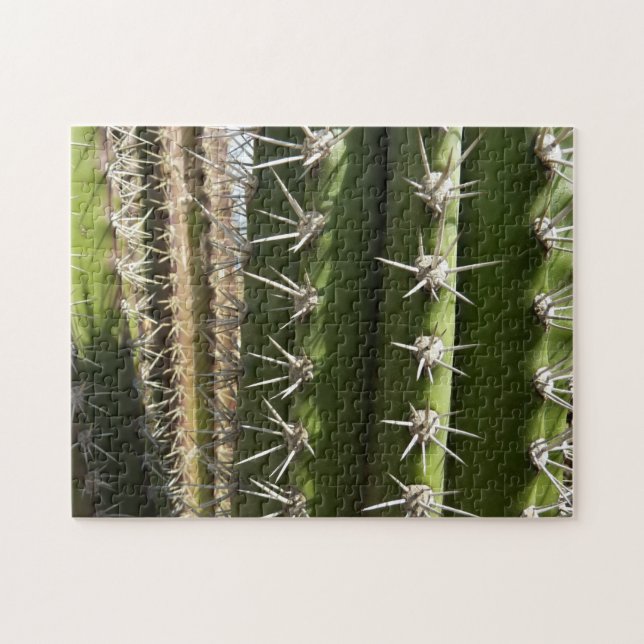 Barrel Cactus II Desert Nature Photo Jigsaw Puzzle (Horizontal)