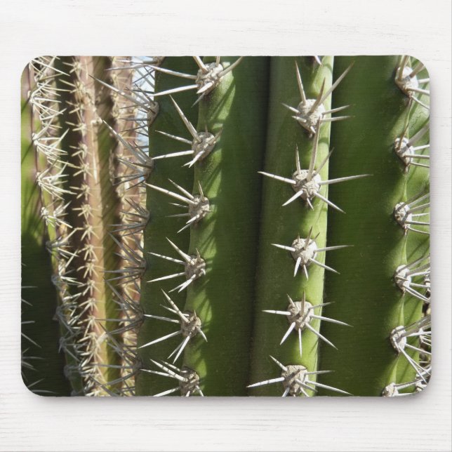 Barrel Cactus II Desert Nature Photo Mouse Pad (Front)