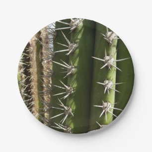 Barrel Cactus II Desert Nature Photo Paper Plate