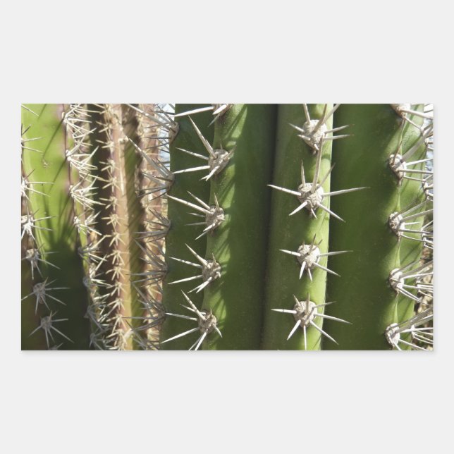 Barrel Cactus II Desert Nature Photo Rectangular Sticker (Front)