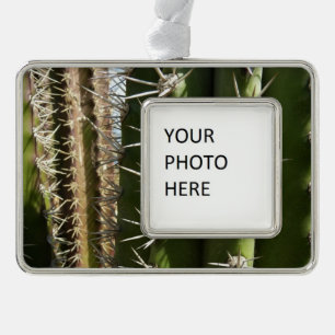 Barrel Cactus II Desert Nature Photo Silver Plated Framed Ornament