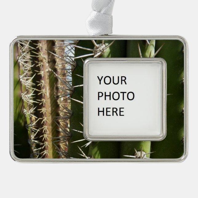 Barrel Cactus II Desert Nature Photo Silver Plated Framed Ornament (Front)