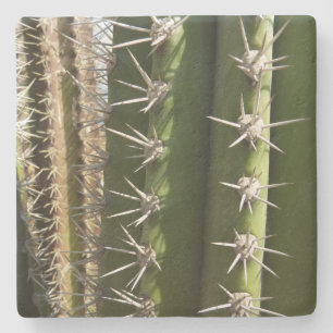 Barrel Cactus II Desert Nature Photo Stone Coaster