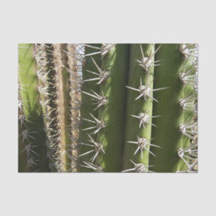 Barrel Cactus II Desert Nature Photo Tissue Paper
