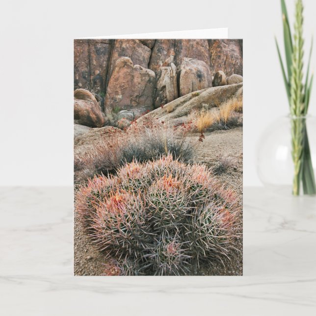 Barrel Cactus In California Card (Front)