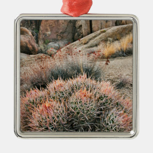 Barrel Cactus In California Metal Ornament