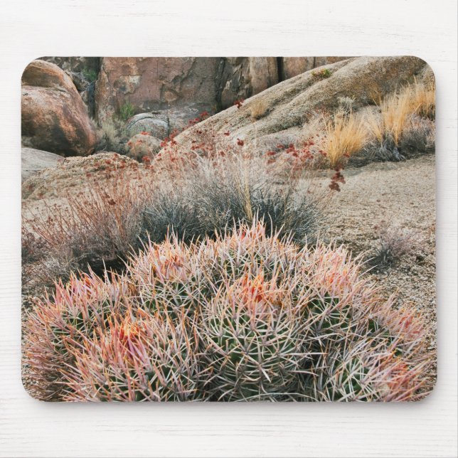 Barrel Cactus In California Mouse Pad (Front)