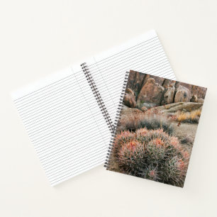 Barrel Cactus In California Notebook