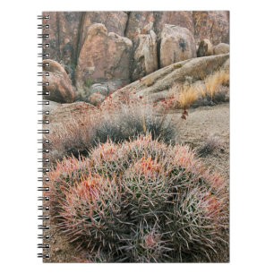 Barrel Cactus In California Notebook
