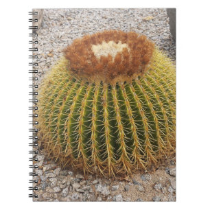 Barrel Cactus Notebook