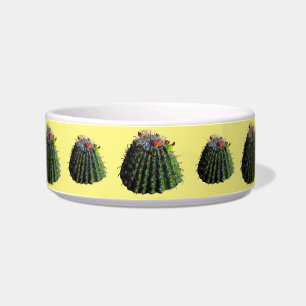 Barrel Cactus Pet Bowls