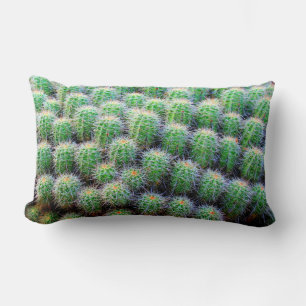 barrel cactus pillow