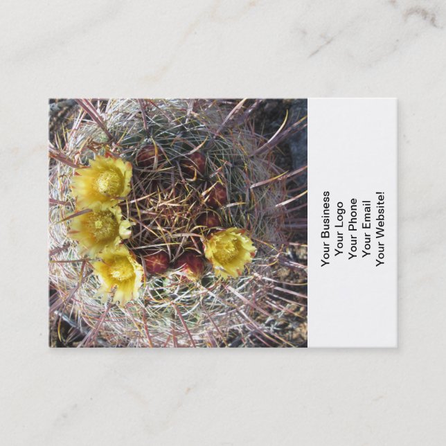 Barrel Cactus Plant Fishhook Yellow Business Card (Front)