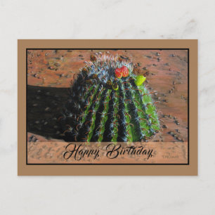 Barrel Cactus Postcard - Optional Personalisation