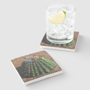 Barrel Cactus Stone Coaster