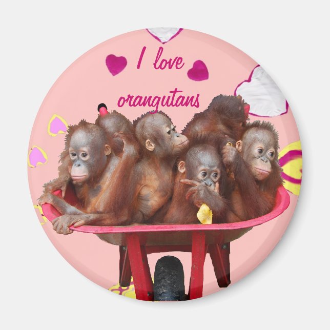 Barrel of Monkeys Orangutan Babies Magnet (Front)