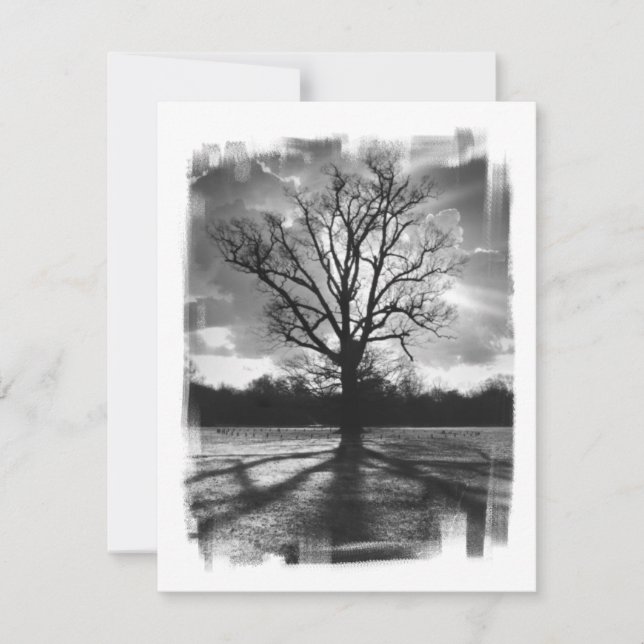 Barren Branches Tree (Front)