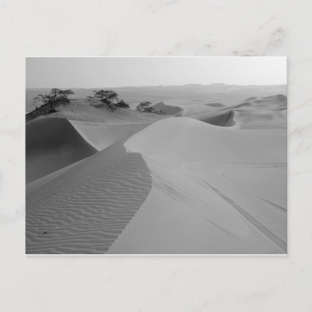 Barren Postcard (Front)