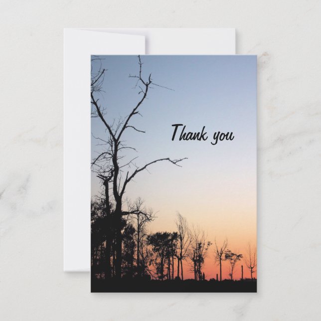 Barren Trees at Sunset in Spring Thank You Card (Front)