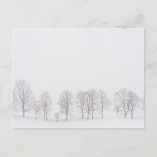 Barren trees in a snow white world postcard