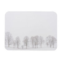 Barren trees in snow white world rectangle magnet