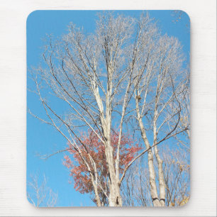 Barren Trees Mouse Pad