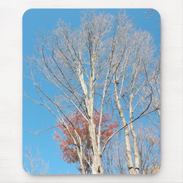 Barren Trees Mouse Pad (Front)