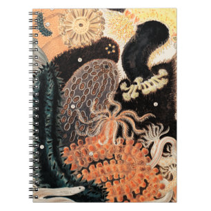 Barrier Reef Anemones Notebook