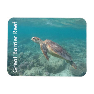 barrier reef turtle magnet