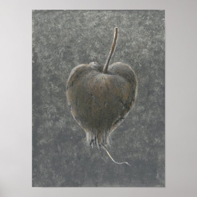 Barringtonia Acutangula  2 Poster (Front)