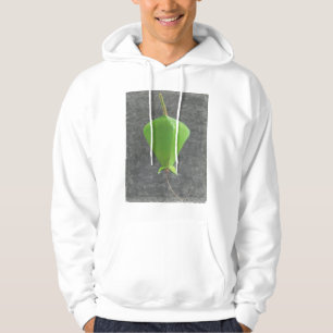 Barringtonia Acutangula Hoodie