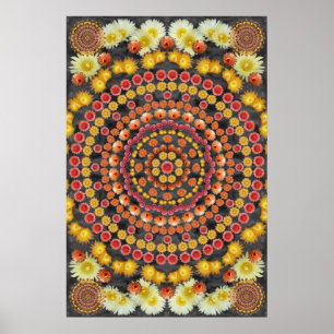 BARRLE CACTUS MANDALA 2 POSTER
