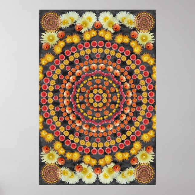 BARRLE CACTUS MANDALA 2 POSTER (Front)