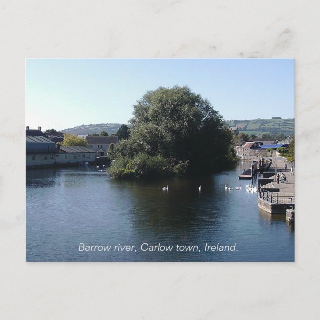 Barrow River near Carlow town, Leinster Ireland Holiday Postcard (Front)