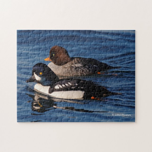 Barrow's Goldeneye Ducks at Stanley Park Seawall Jigsaw Puzzle (Horizontal)