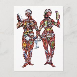 Bartender Anatomy (male & female) Postcard