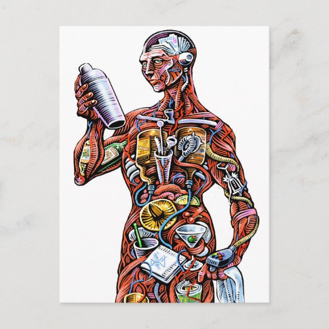 Bartender Anatomy (male) Postcard (Front)