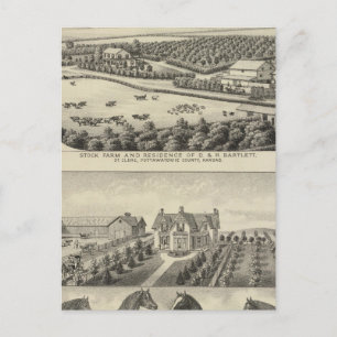 Bartlett and Roberts Residences and Farms, Kansas Postcard