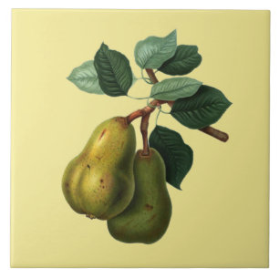 Bartlett Pears Botanical ~ Any Colour Background ~ Ceramic Tile