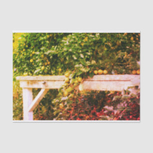 Bartlett Pears On Tree Vintage Look Decoupage  Tissue Paper