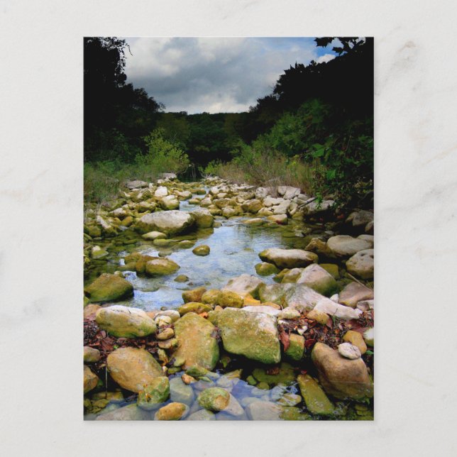 Barton Creek 5 - Austin Texas Postcard (Front)
