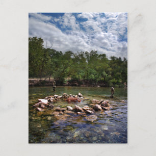 Barton Creek Dog Swimming Hole - Austin Texas Postcard