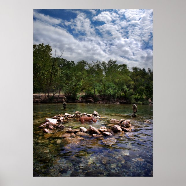 Barton Creek Dog Swimming Hole - Austin Texas Poster (Front)